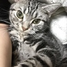 高村あめさん