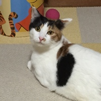 そら