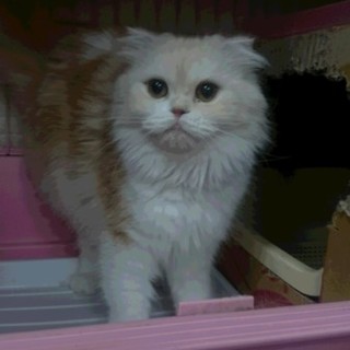 ☆のんちゃん☆ありがとうございました！