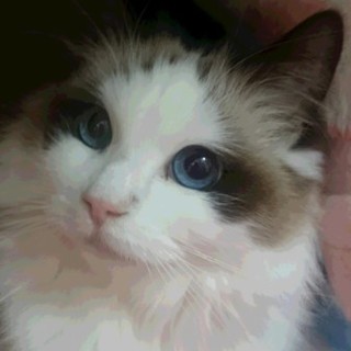 ☆ジェニー☆たくさんのご応募ありがとうございました