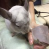 hiro丸