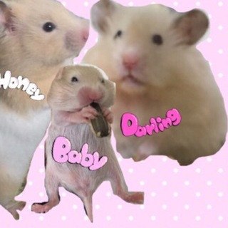 ご協力ありがとうございました！