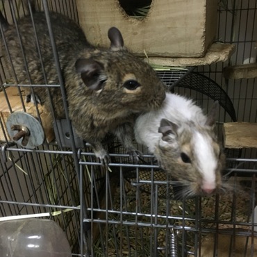 の写真