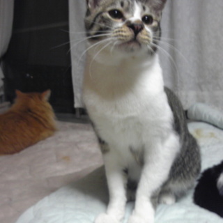 【ありがとうございました】可愛い男の子