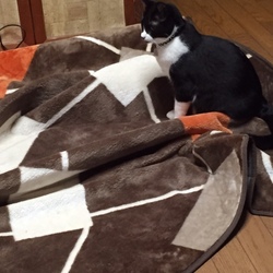 兵どもが・・・(~_~;)