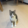 の写真