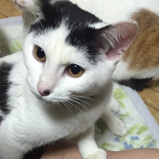 とっても美人！もち子ちゃん♡