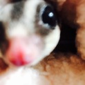 急募です！