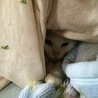 おやすみ中…