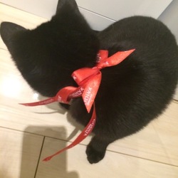 「Happy Valentine♡可愛すぎるチョコ」サムネイル2