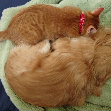 二人でコショコショなにやってんのー？