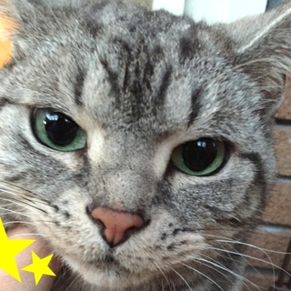 決定！おっとり穏やか人大好き♡スリゴロベッタリ♡