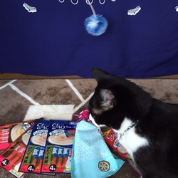 バレンタインデー❤