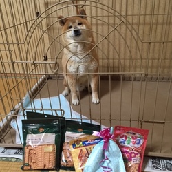 「バレンタインデー❤」サムネイル2