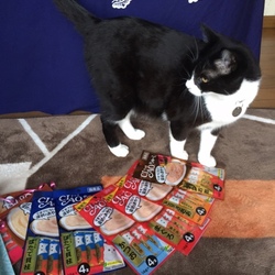 「バレンタインデー❤」サムネイル3