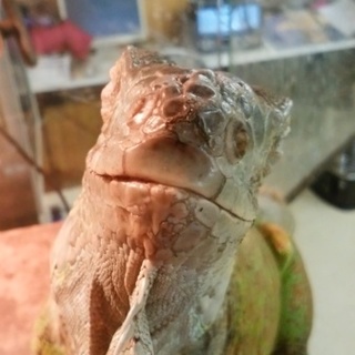 多数ご応募頂きありがとうございました。