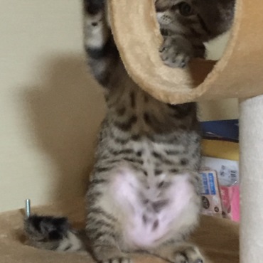 噛み応え点検中！
