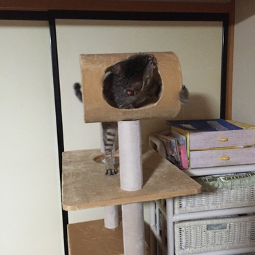 サイズ点検中