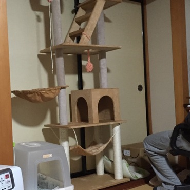見下ろし心地点検中