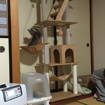 遊びやすさ点検中