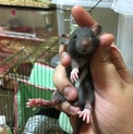 ご協力ありがとうございました。