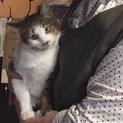 愛嬌まんてん丸顔女子