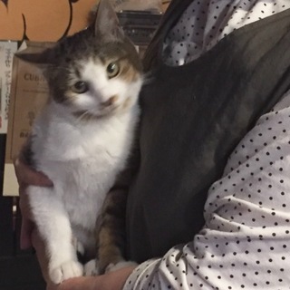 愛嬌まんてん丸顔女子