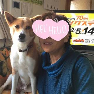 郡山市保健所　穏やかな男の子     ゴロー君