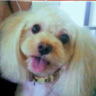 たくさんのご応募ありがとうございました！