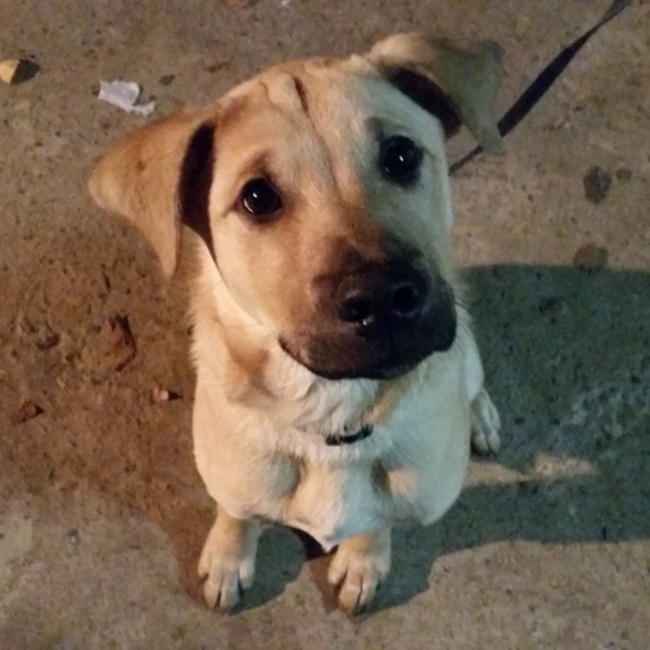 emitakeのカバー写真