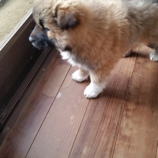 ２ヶ月の男の子