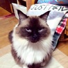 未来ちゃん