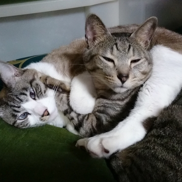 からまったり(笑)