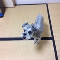  (交渉中ですので一旦中止します)