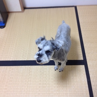  (交渉中ですので一旦中止します)