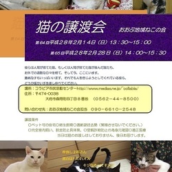 2/28（日）おぶねこ譲渡会開催