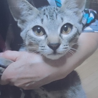 人間大好き❤モモちゃん。