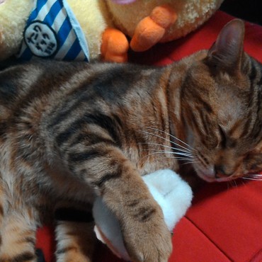 これ僕のやもん