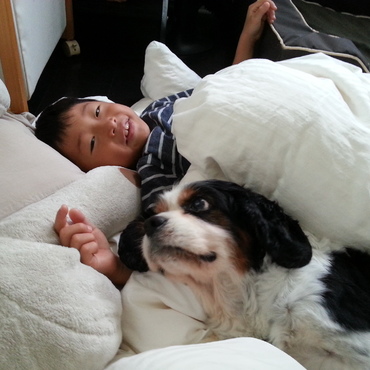 フカフカ大好き♥