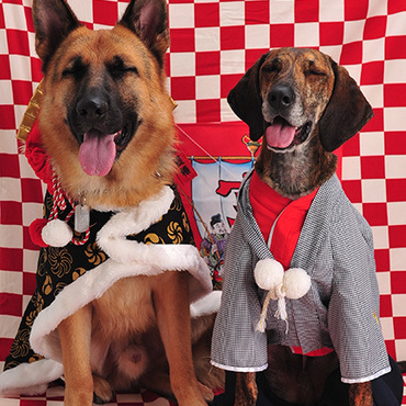 ロビンとお正月