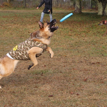 ジャンプしてるつもり