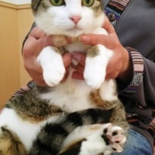 ひかりちゃん　元気な女の子です