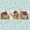 律まる