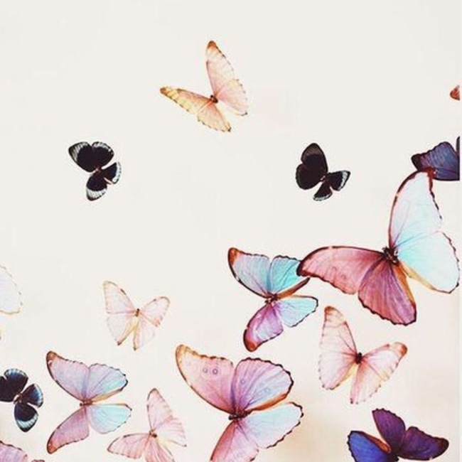 シカ子のカバー写真