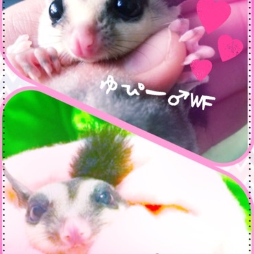 うちの可愛い子供達♡
