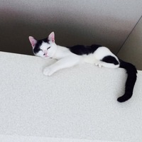 ちぃちゃん