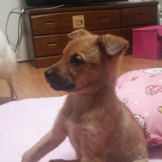 お茶目でトイレがバッチリな女の子