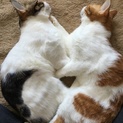 仲良し！兄弟同然の絆を大切に