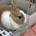 可愛がって下さいT^T