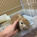 可愛がってあげて下さいT^T
